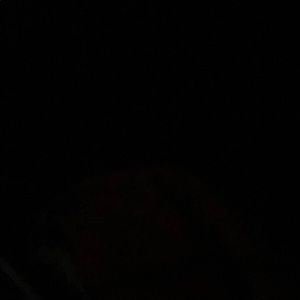 Meet your Posher, Allie